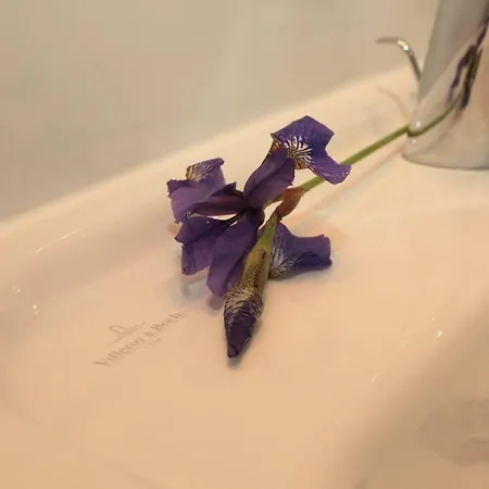 公寓 Ostsee 索波特